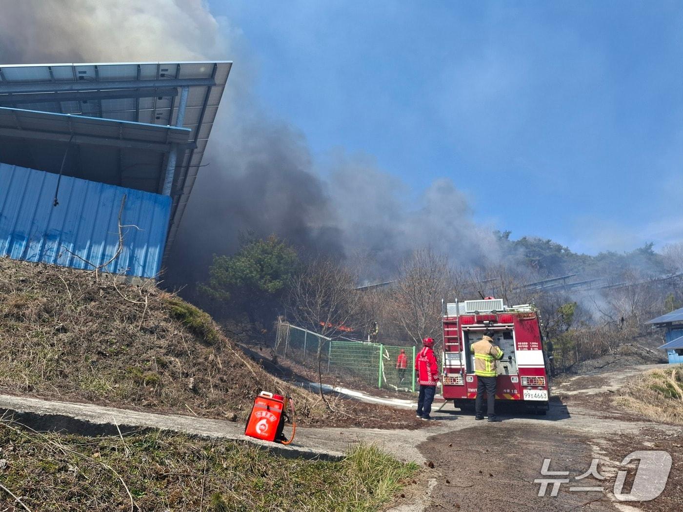 본문 이미지 - 23일 전남 화순 동면 한 야산에서 불이 나 소방당국이 진화하고 있다.(전남소방본부 제공. 재판매 및 DB 금지) 2026.3.23