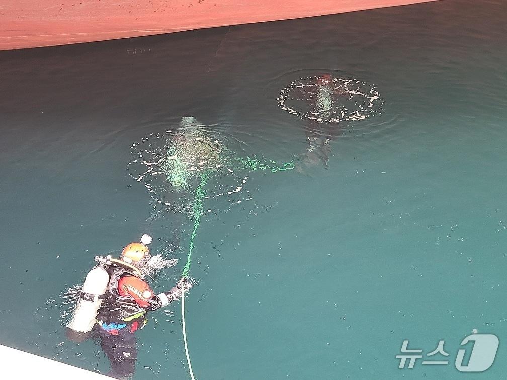 본문 이미지 - 강릉해경 마약류 차단을 위한 선저검사.(강릉해경 제공, 재판매 및 DB 금지) 2026.3.23/뉴스1