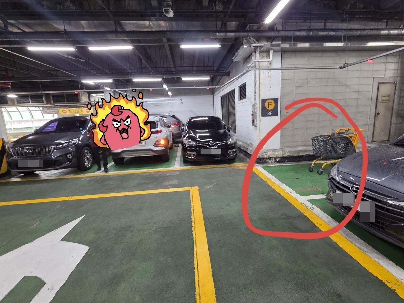 본문 이미지 - (보배드림 갈무리)