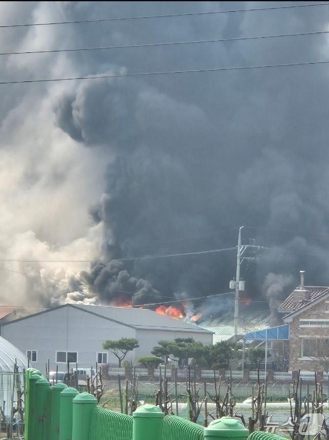 본문 이미지 - 23일 강원 동해시 이도동 식품업체 창고 화재 현장.(독자제공, 재판매 및 DB 금지) 2026.3.23/뉴스1