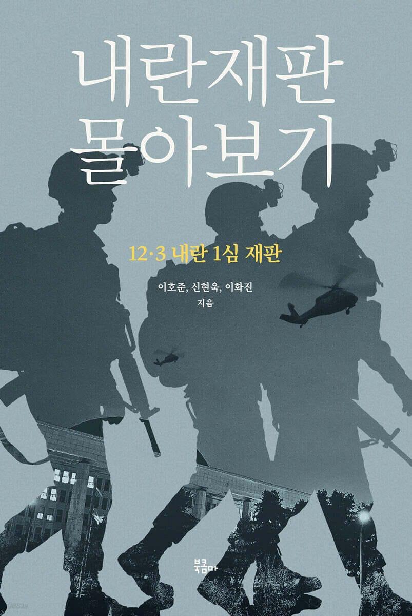 본문 이미지 - [신간] '내란재판 몰아보기'