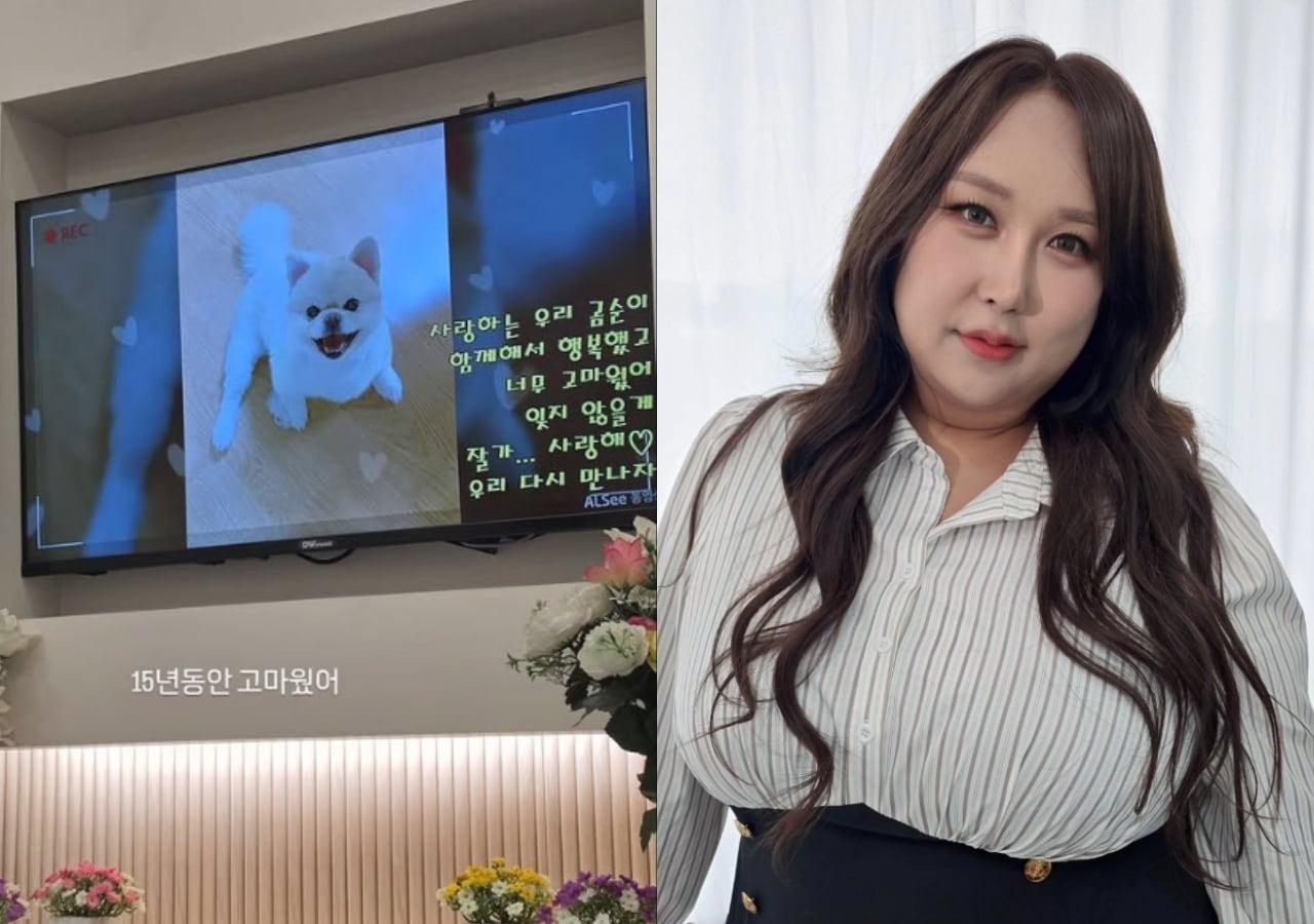 본문 이미지 - 풍자 인스타그램