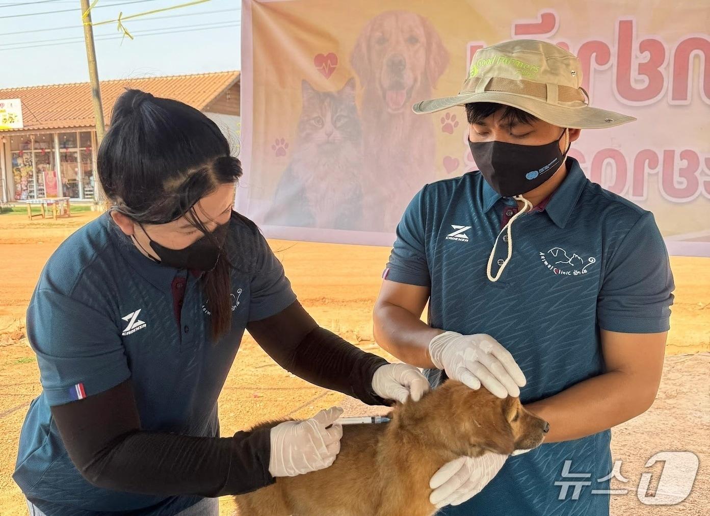 본문 이미지 - 국경없는 수의사회 라오스지부는 광견병 제로 프로젝트를 진행했다(수의사회 제공). ⓒ 뉴스1