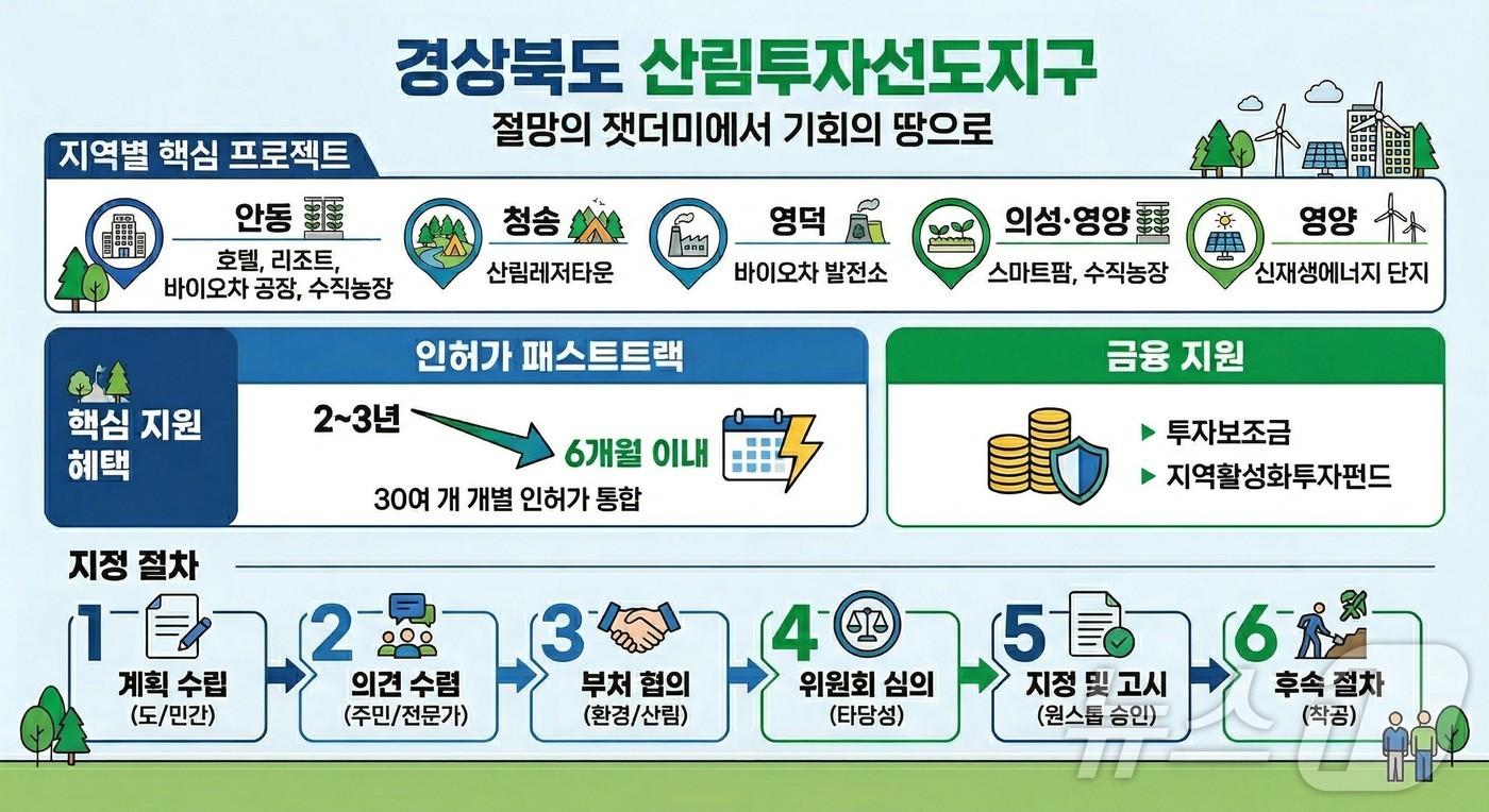 본문 이미지 - 경북도는 24일 산불 피해지역의 체계적 복구와 지역경제 활성화를 위해 전국 최초로 ‘산림투자선도지구’ 지정을 추진하고 본격적인 사업 검토에 들어갔다. ⓒ 뉴스1 김대벽기자