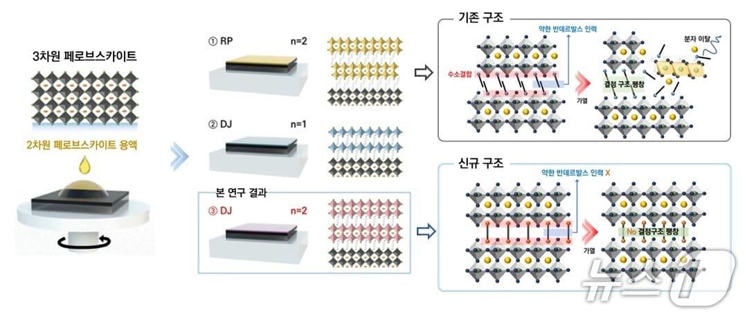 본문 이미지 - 구조 형성 전략에 대한 모식도(좌) 및 구조 변화 모식도(우). (KAIST 제공. 재판매 및 DB금지) 2026.3.24/뉴스1