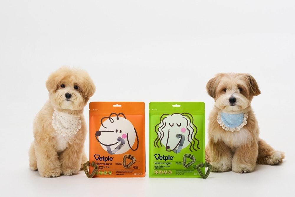 본문 이미지 - 동아제약 벳플. (동아제약 제공)