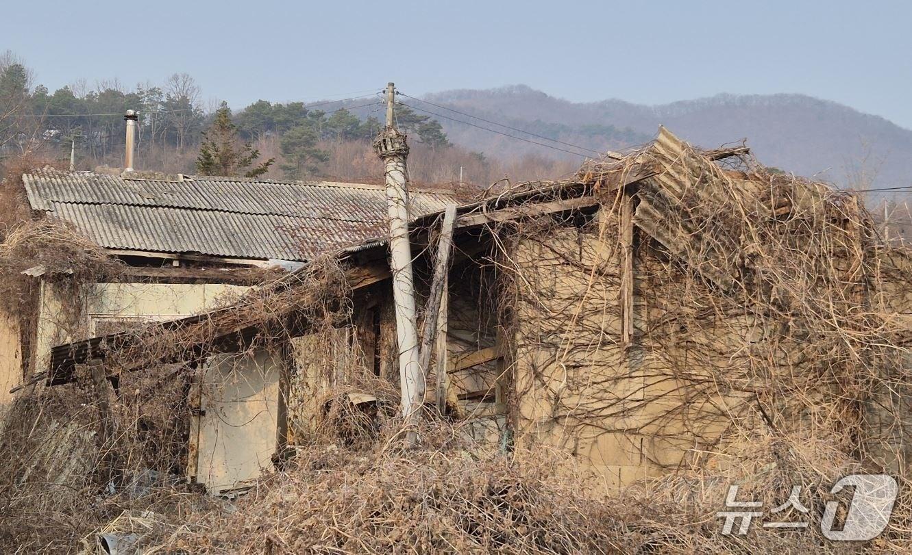 본문 이미지 - 사진은 도곡리에 위치한 방치된 빈집.(계룡시 제공.재판매 및 DB금지)/뉴스1