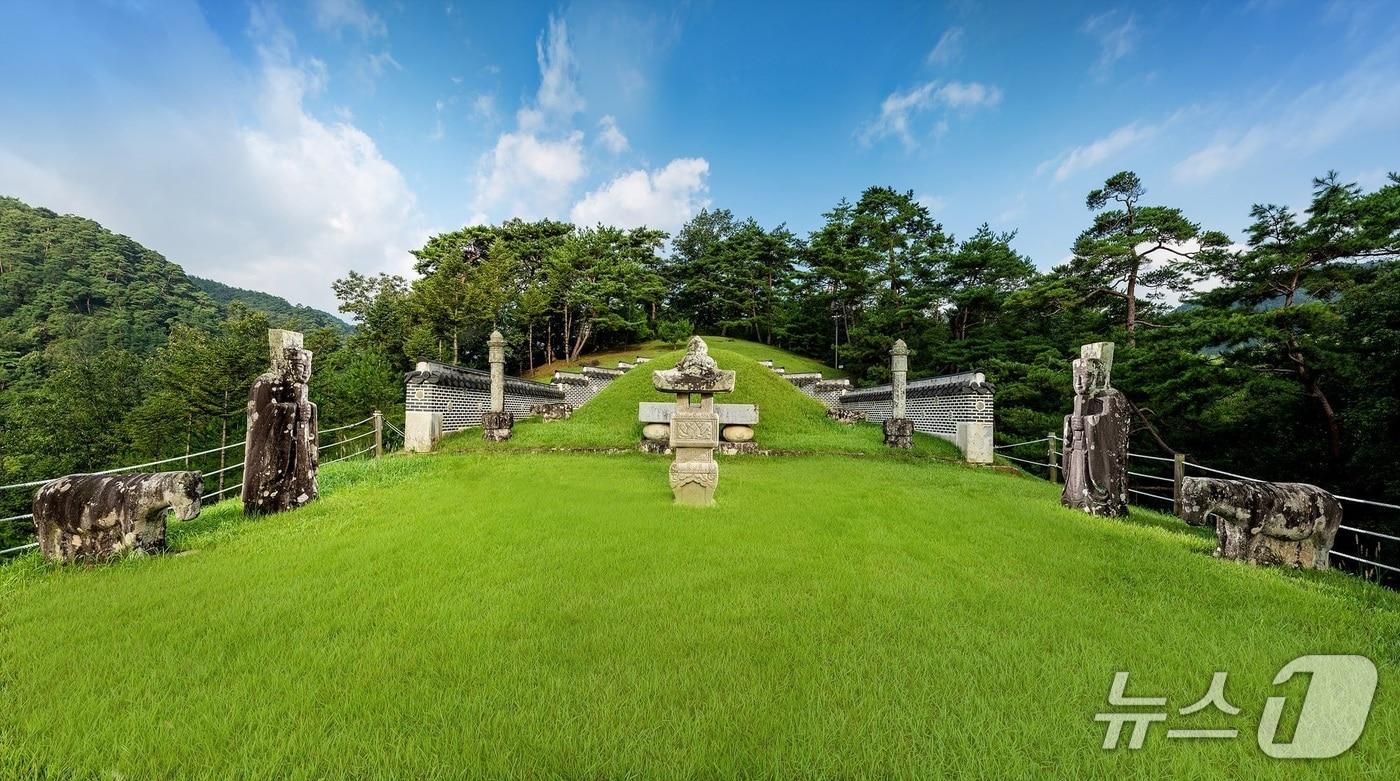 본문 이미지 - 강원특별자치도 영월군 영월읍 소재 장릉 전경(산림청 제공.재판매 및 DB금지)/뉴스1