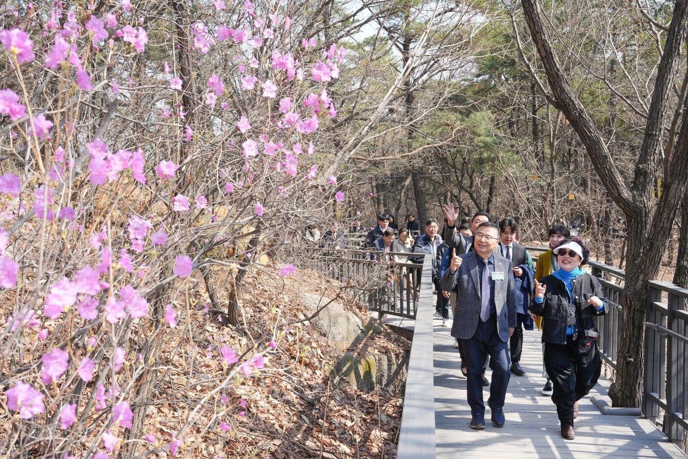 본문 이미지 - 중랑구