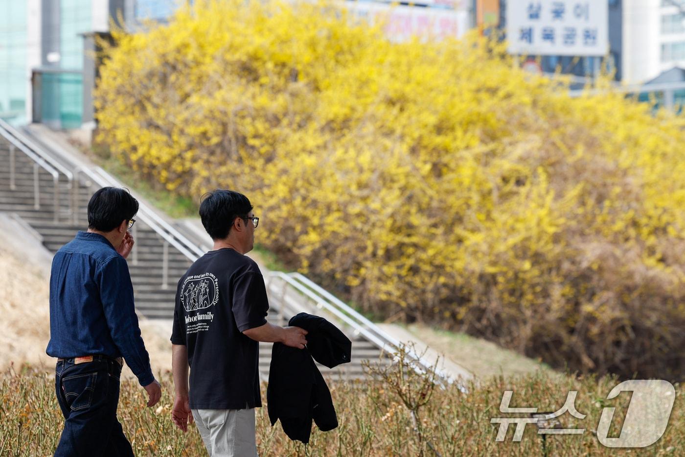 본문 이미지 - 자료사진 ⓒ 뉴스1 안은나 기자