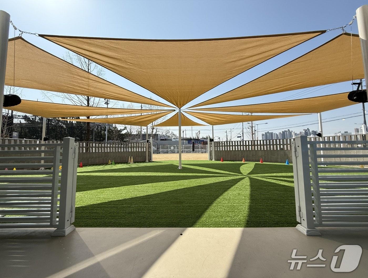 본문 이미지 - 반려견 에너지파크 모습.(중구 제공. 재판매 및 DB금지)/뉴스1