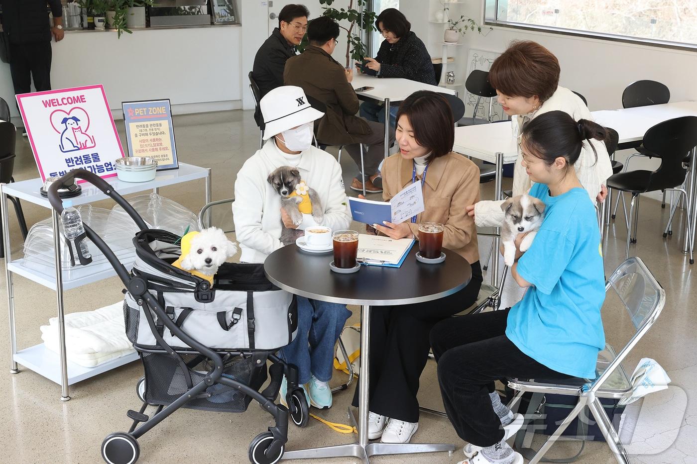 본문 이미지 - 지난달 24일 광주 동구에 위치한 한 카페에서 동구청 위생과 직원들이 반려견과 동반한 손님들과 직원들에게 이용 방법에 대해 설명하고 있다. 자료사진. (광주 동구 제공. 재판매 및 DB 금지) 2026.3.24 ⓒ 뉴스1 이승현 기자