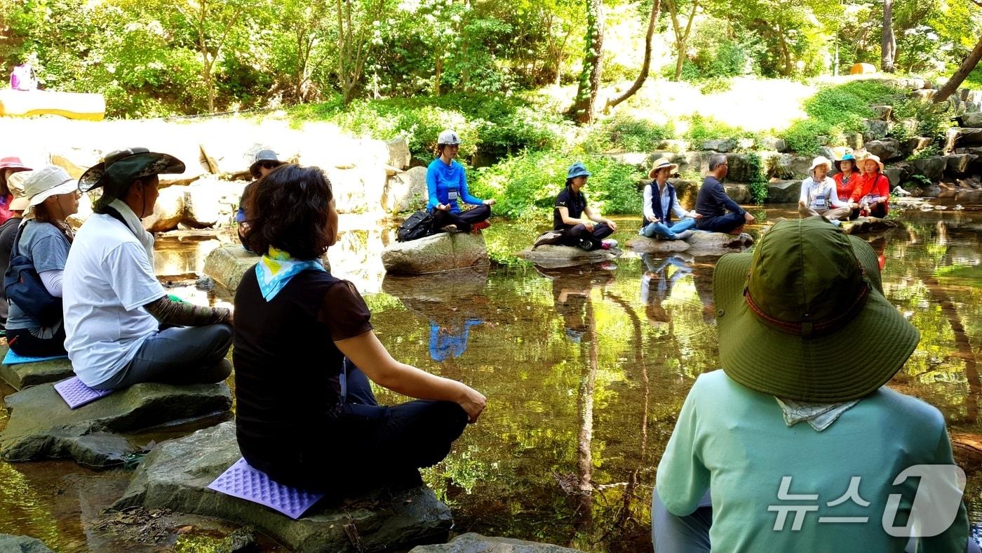 본문 이미지 - 합천군 '오도산 치유의 숲' 프로그램(합천군 제공. 재판매 및 DB금지).