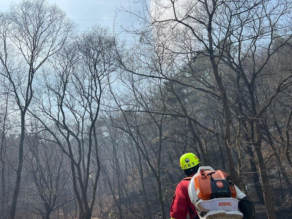 본문 이미지 - 천안 입장면 산불 현장.(산림청 제공. 재판매 및 DB금지)/뉴스1