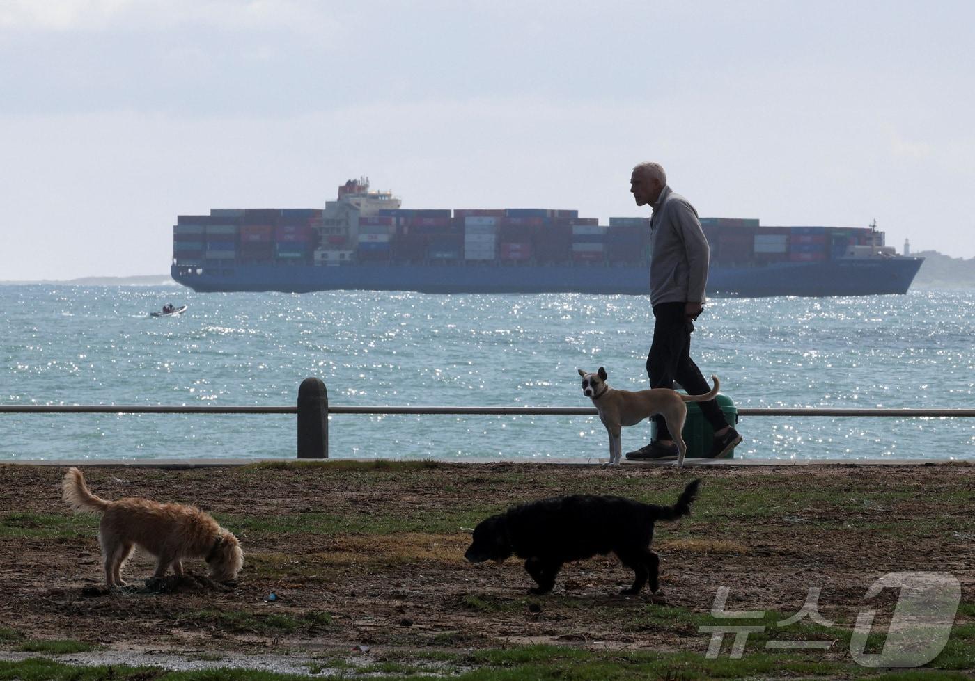 본문 이미지 - 컨테이너선이 2025년 케이프타운 항구에 도착하고 있다. 2025.8.6 ⓒ 로이터=뉴스1