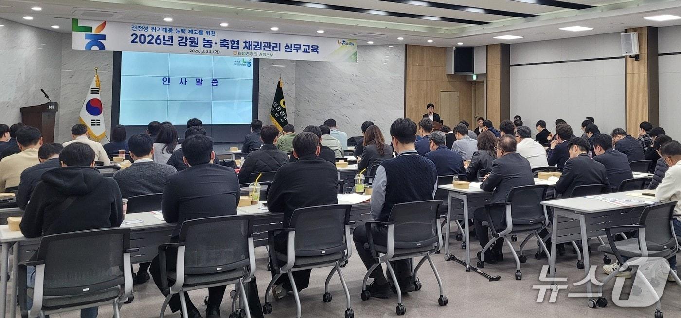 본문 이미지 - 강원 농·축협 채권관리 실무교육.(농협 강원본부 제공. 재판매 및 DB금지)/뉴스1