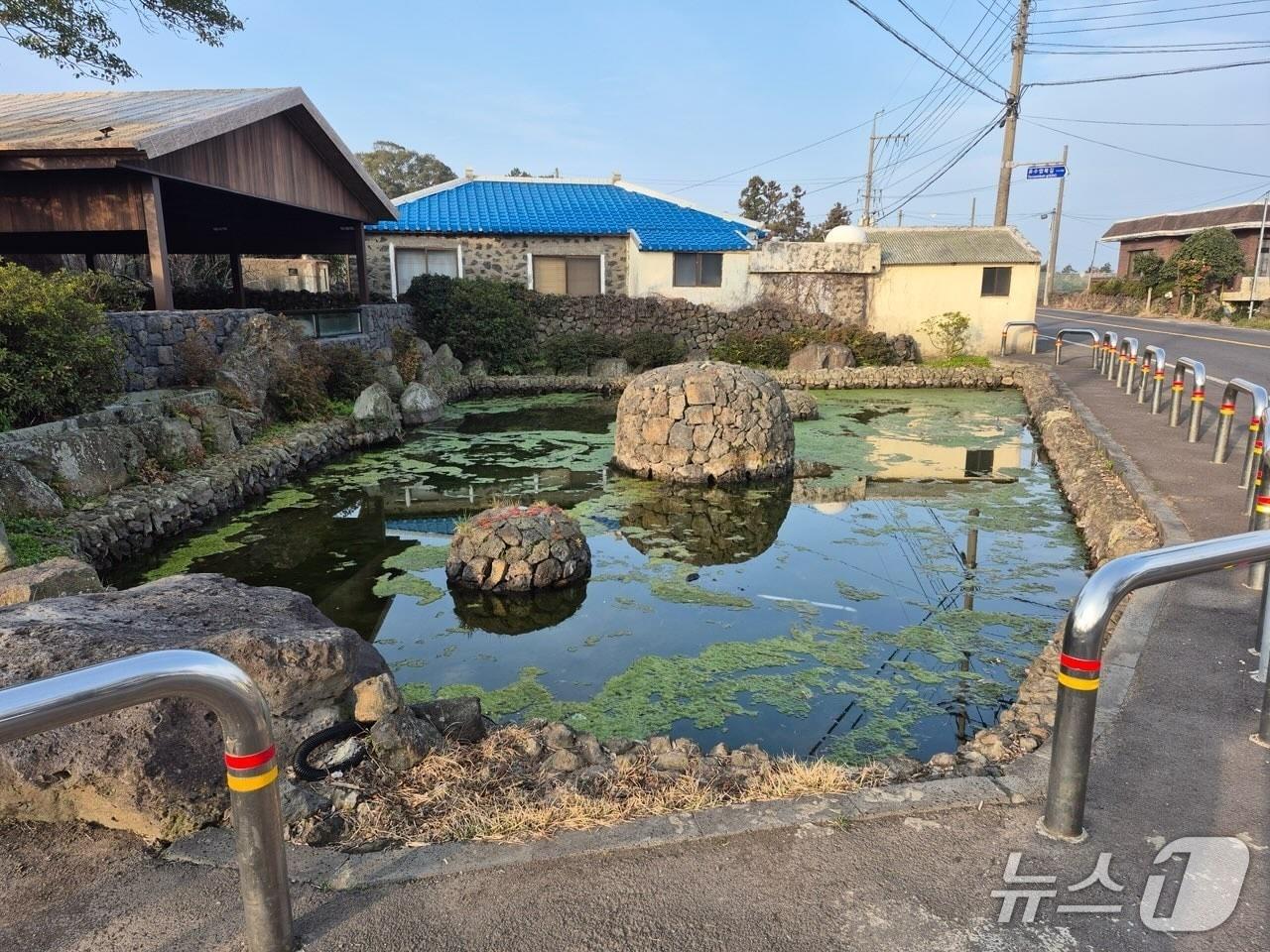 본문 이미지 - 제주시의 한 습지.(제주시 제공, 재판매 및 DB 금지)