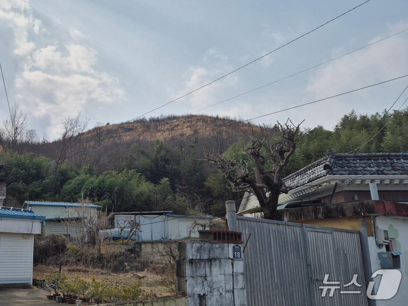 본문 이미지 - 지난 17일 울산 울주군 언양읍 신화마을 뒷산에 산불의 흔적이 남아있다. 울주군은 불에 탄 나무 일부를 베어냈다.2026.3.20ⓒ 뉴스1 박정현 기자