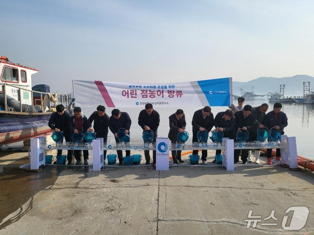 본문 이미지 - 인천시 수산자원연구소는 강화군 황산도 해역에 어린 점농어 15만여 마리를 방류했다. (인천시 제공.재판매 및 DB금지)