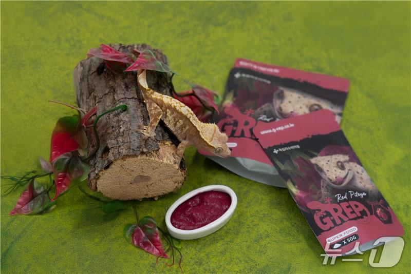 본문 이미지 - 지랩 용과(녹십자수의약품 제공) ⓒ 뉴스1