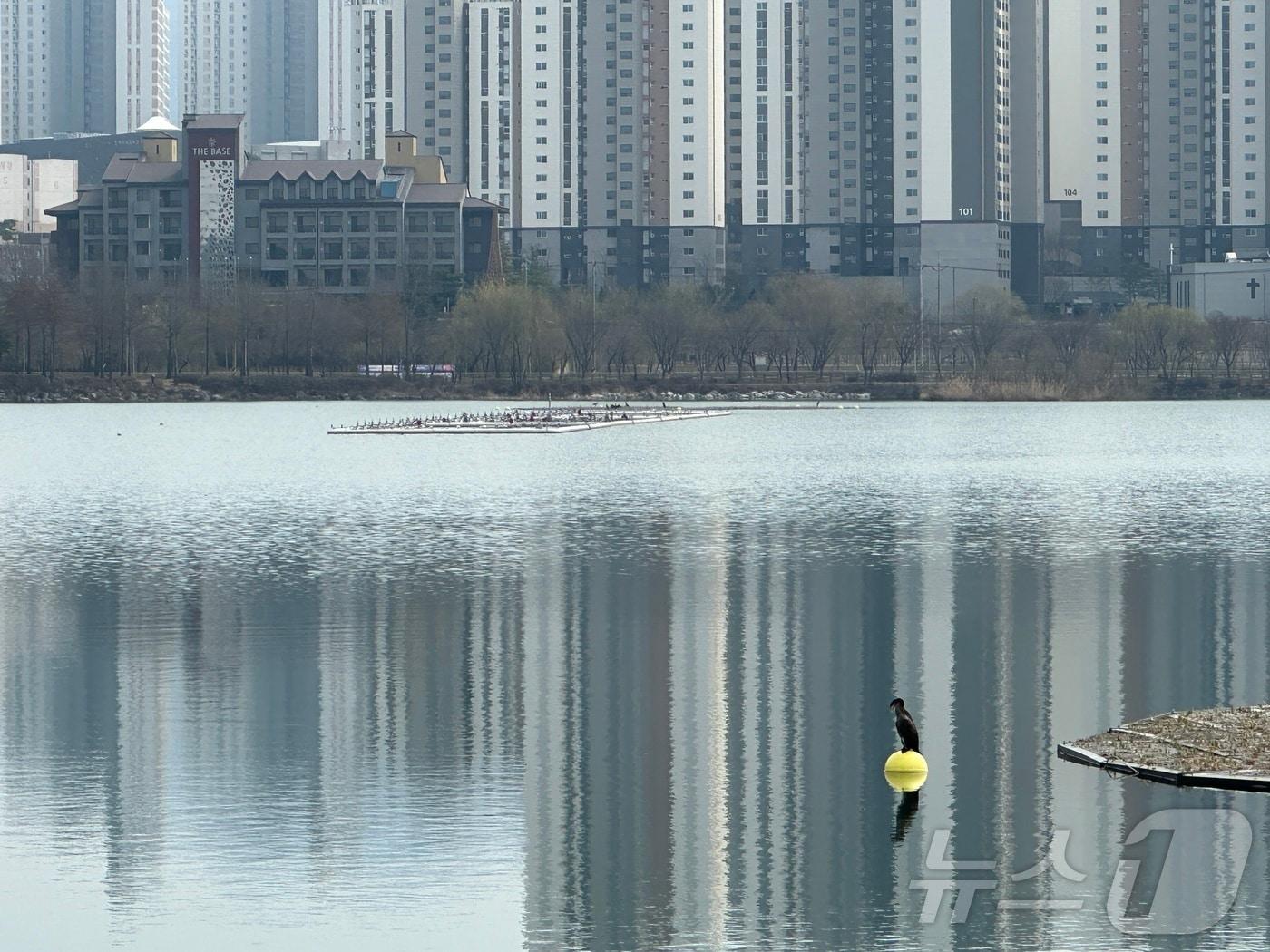본문 이미지 - 충주 호암지. ⓒ 뉴스1 윤원진 기자