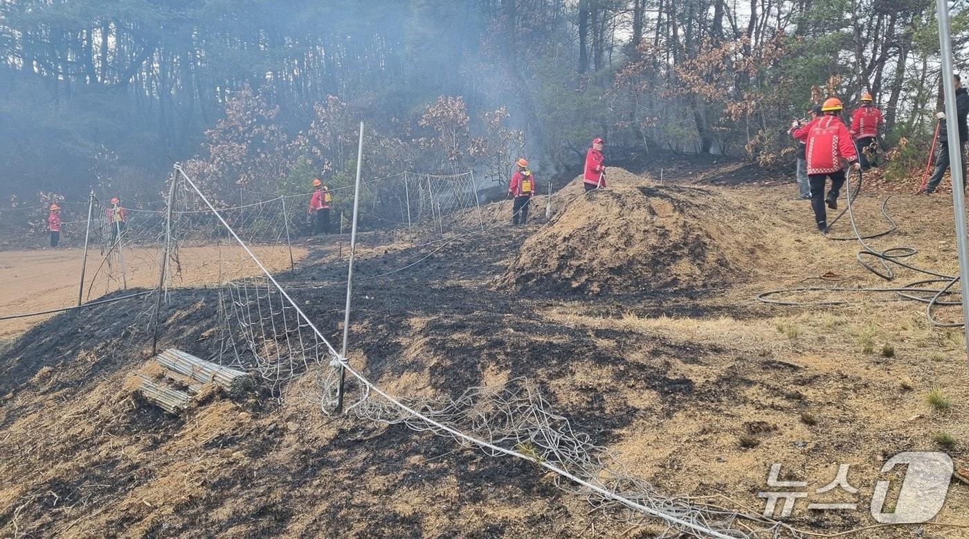본문 이미지 - 24일 오후 3시40분쯤 경북 안동시 도산면의 한 야산에서 입산자 실화로 추정되는 불이 나 당국이 진화 작업을 펼쳤다.(경북소방본부 제공. 재판매 및 DB금지)
