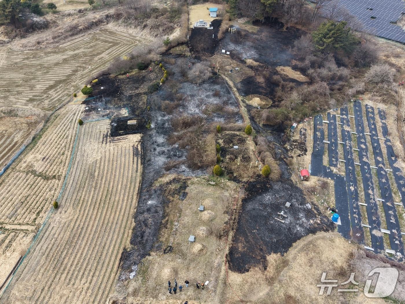 본문 이미지 - 24일 낮 12시 50분께 전북 김제시 도장동 한 묘지 인근에서 불이 났다.(전북소방본부 제공. 재판매 및 DB금지)