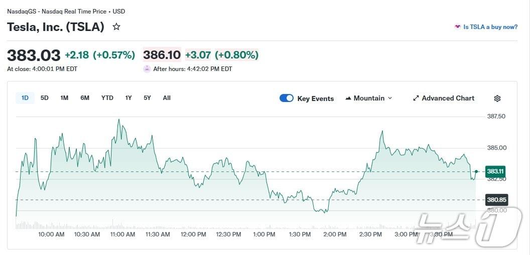본문 이미지 - 테슬라 일일 주가 추이 - 야후 파이낸스 갈무리