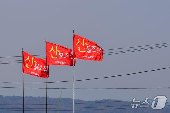 본문 이미지 - 산불조심 깃발. (뉴스1 DB)