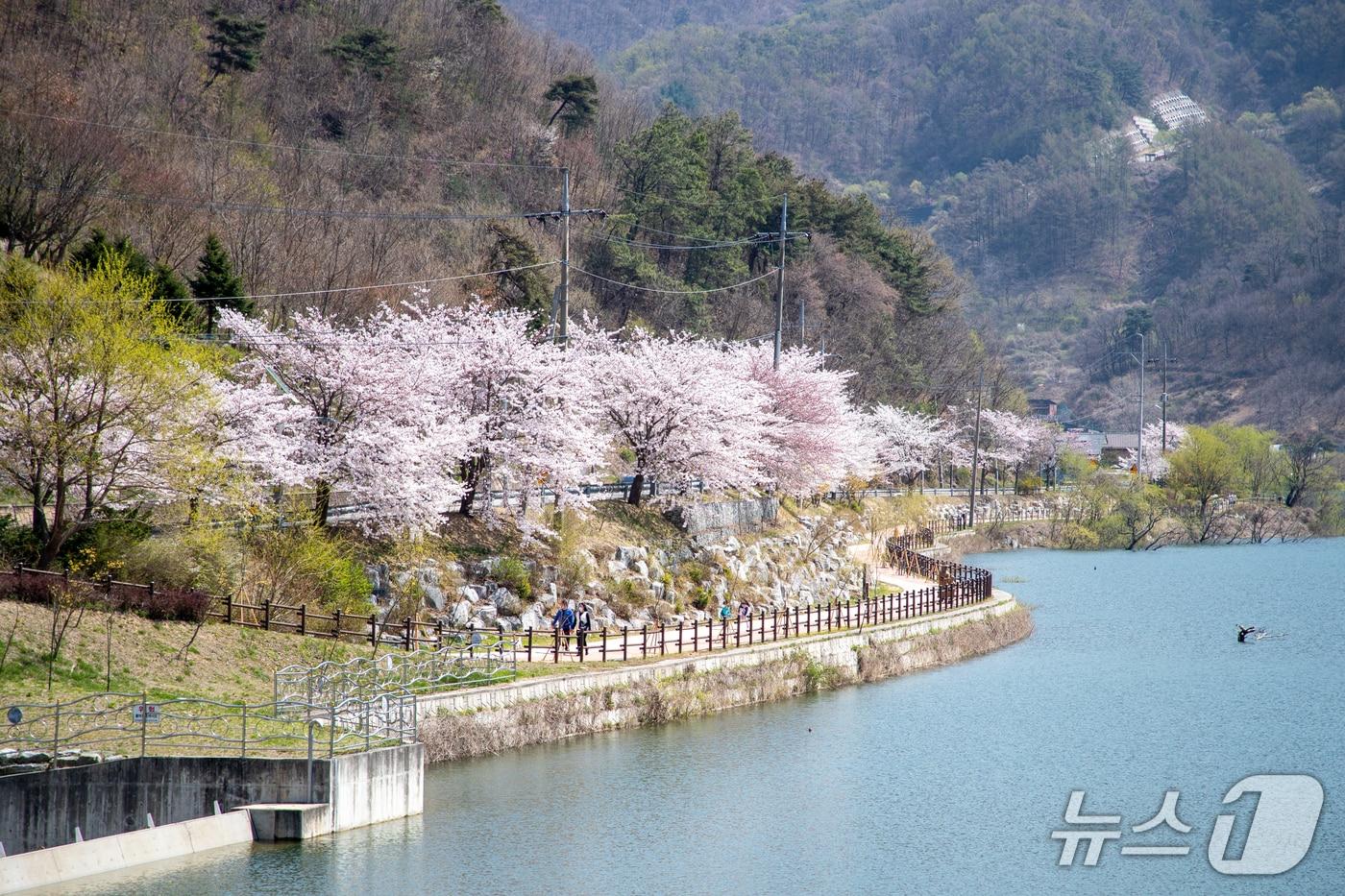 본문 이미지 - 충북 증평 좌구산 삼기저수지 4월 풍경.(증평군 제공. 재판매 및 DB금지)