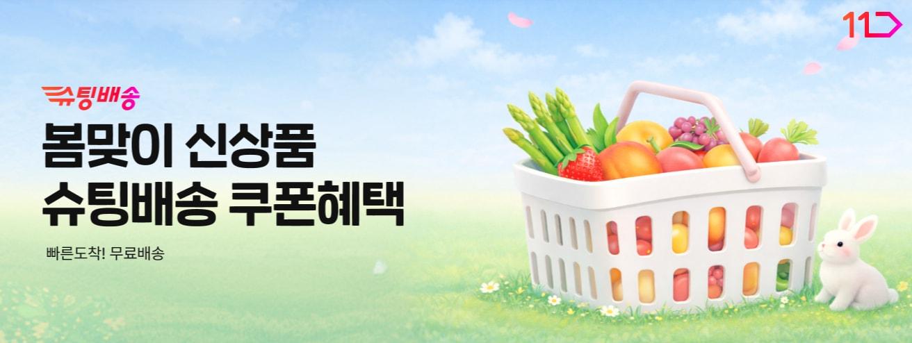 본문 이미지 - (11번가 제공)