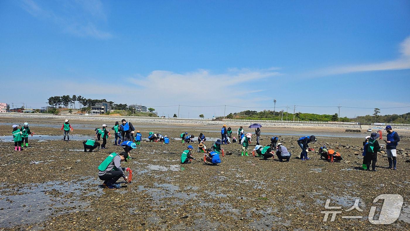 본문 이미지 - 지난해 간월도 일원에서 바지락 캐기 체험을 즐기는 참여자들 모습(서산시 제공. 재판매 및 DB금지)2026.3.25/뉴스1