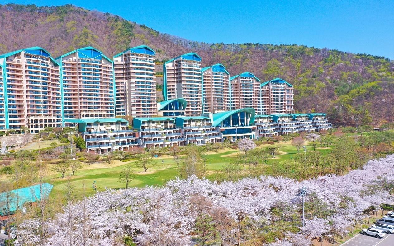 본문 이미지 - 소노펠리체 비발디파크(소노인터내셔널 제공)