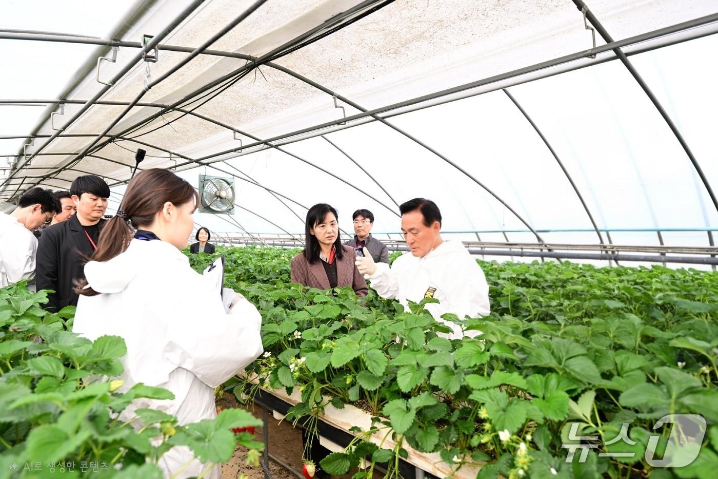 본문 이미지 - 안전성 검사 모습 (논산시 제공.재판매 및 DB금지)/뉴스1