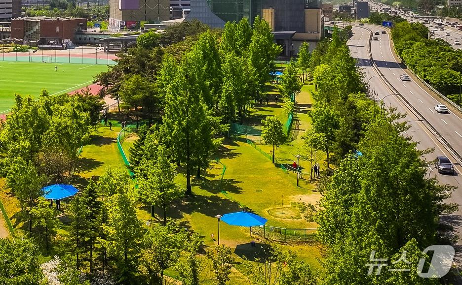 본문 이미지 - 수지구 용인아르피아 파크골프장 전경.(용인시 제공)