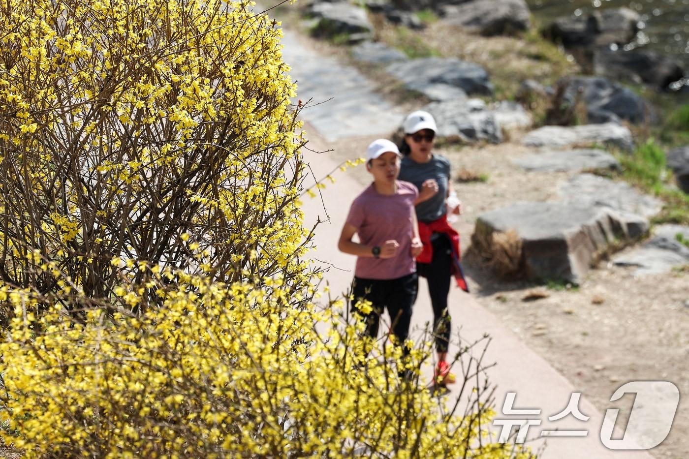 본문 이미지 - 서울 낮 최고 기온이 19도까지 올라가 포근한 날씨가 이어지는 25일 서울 종로구 청계천을 찾은 시민들이 러닝을 하고 있다. 2026.3.25 ⓒ 뉴스1 임지훈 기자