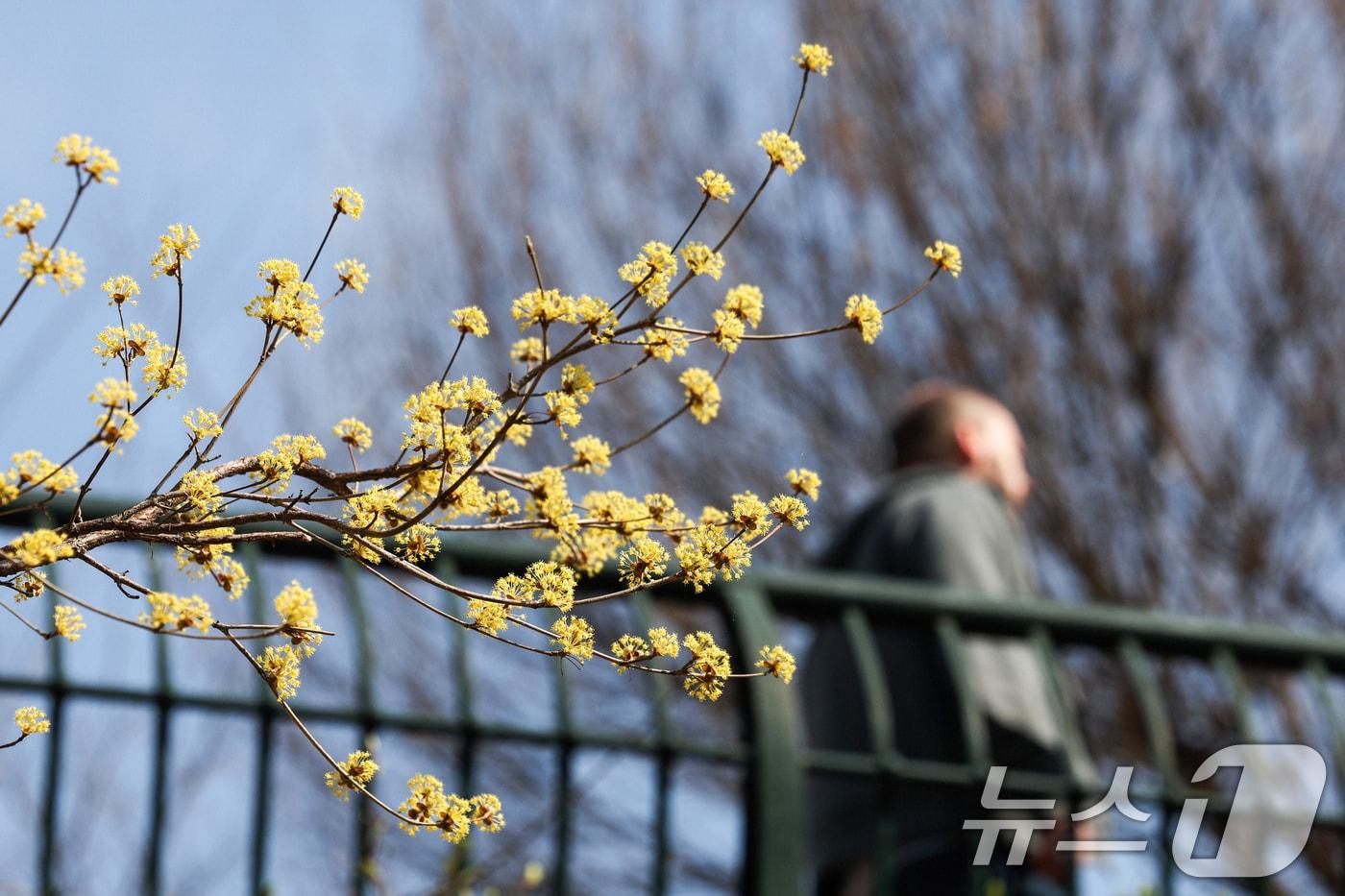 본문 이미지 - 25일 서울 종로구 청계천을 찾은 외국인 관광객이 산책을 하고 있다. 2026.3.25 ⓒ 뉴스1 임지훈 기자
