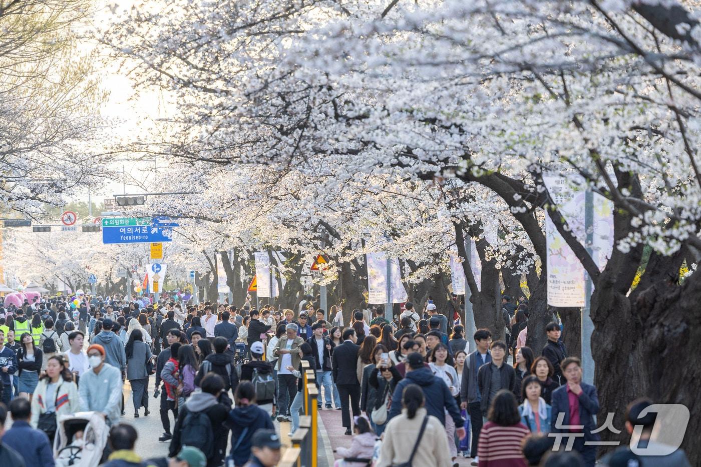 본문 이미지 - 지난해 여의도 벚꽃축제 현장.(영등포구 제공)