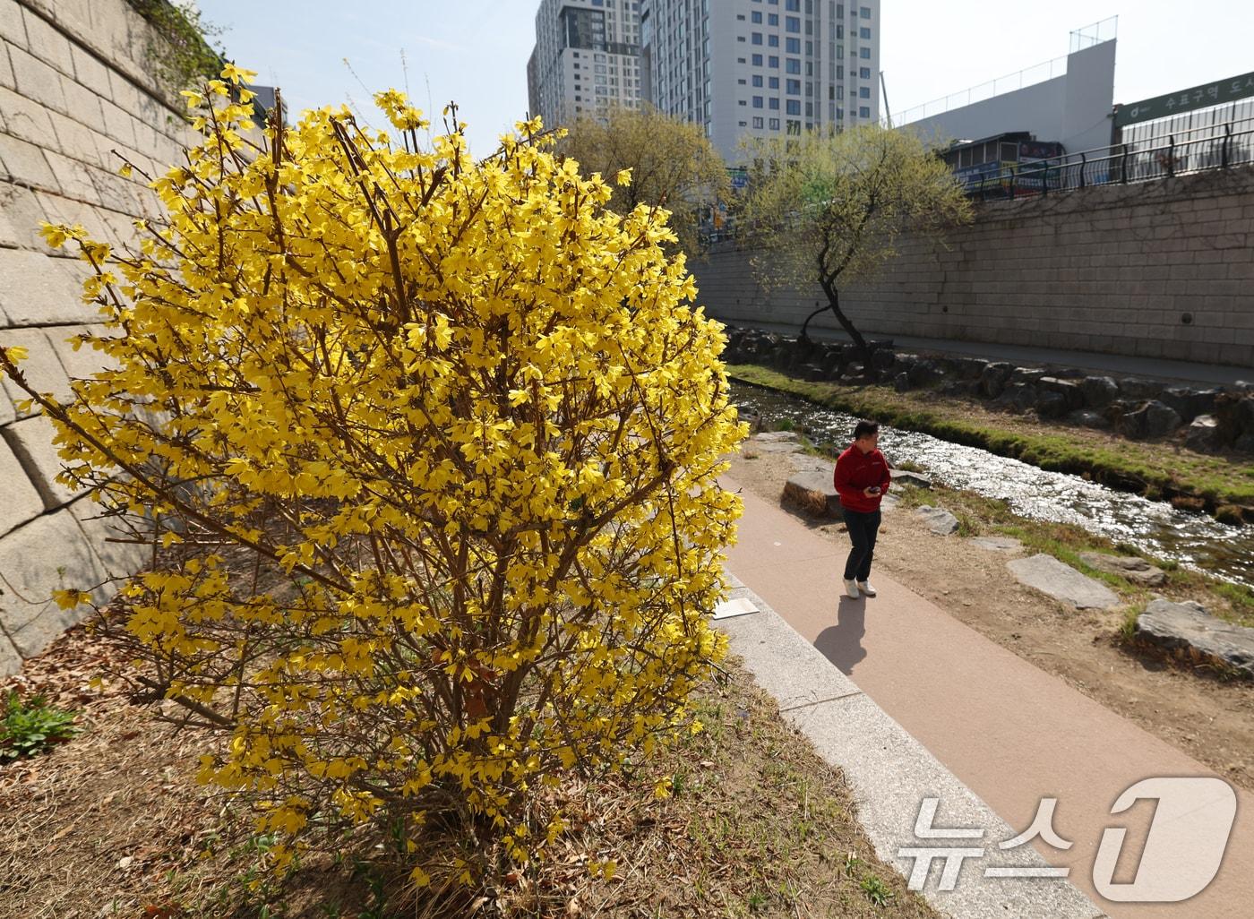 본문 이미지 - 〈자료사진〉