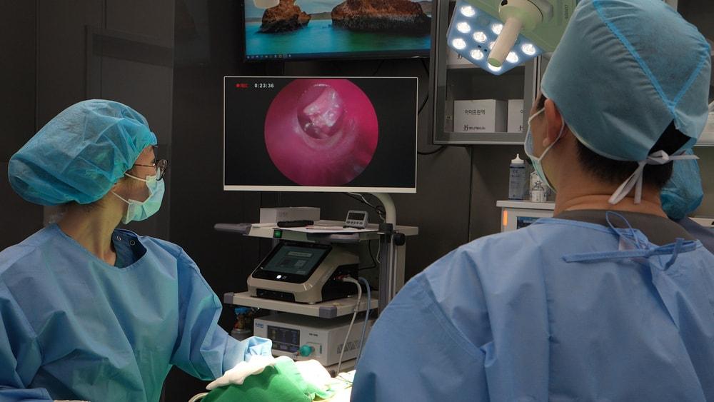 본문 이미지 - 24시 해든동물의료센터는 최근 경기동북부 지역 동물병원 최초로 복강경 수술 장비를 도입해 최소침습 수술을 본격 시행하고 있다(병원 제공). ⓒ 뉴스1