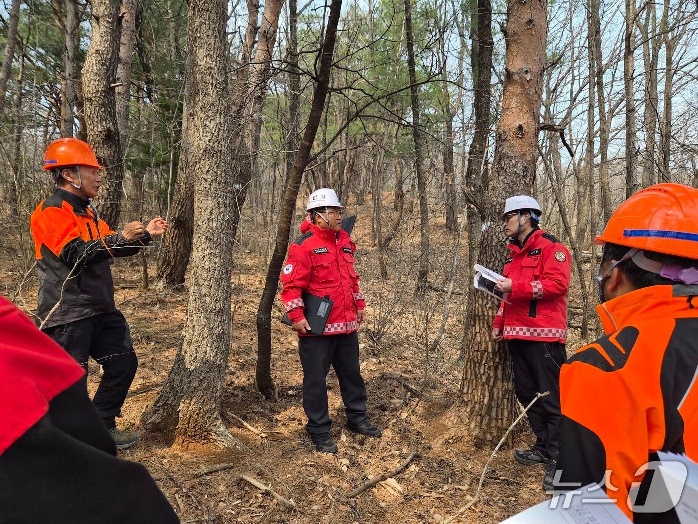 본문 이미지 - 최수천 동부지방산림청장(사진 오른쪽 세번째)이 지난 23일 강원 동해지역 소나무재선충병 방제 현장을 살피고 있다.(동부산림청 제겅, 재판매 및 DB 금지) 2026.3.25/뉴스1