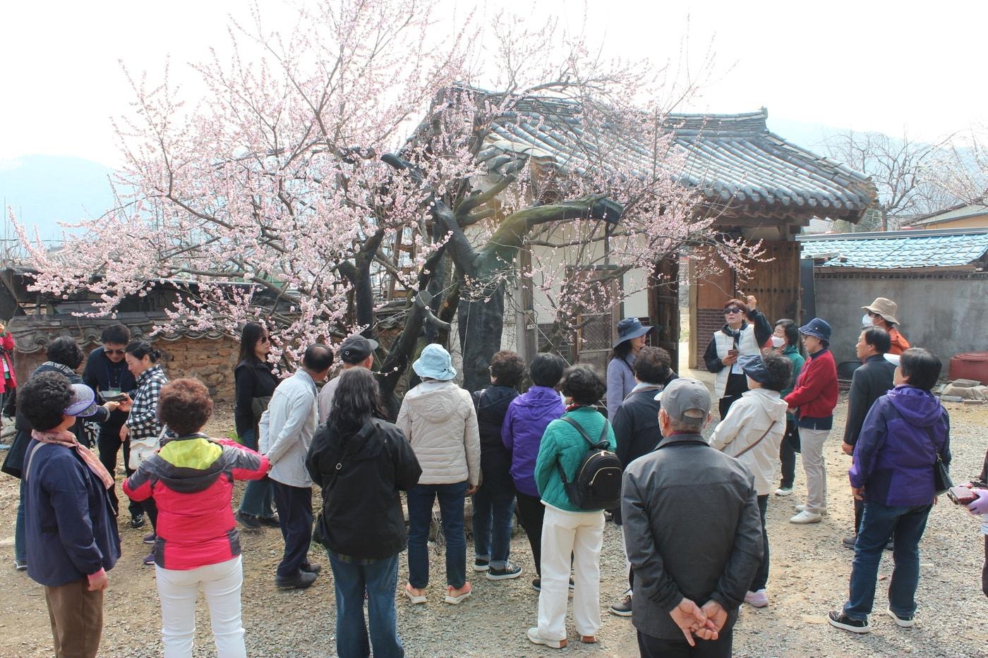 본문 이미지 - '2026년 천클럽 회원 연수' 진행 모습.(부여새마을금고 제공. 재판매 및 DB금지)/뉴스1