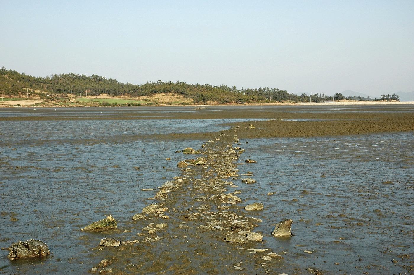 본문 이미지 - 신안군 팔금도 거사리의 노둣길(국가유산청 제공)