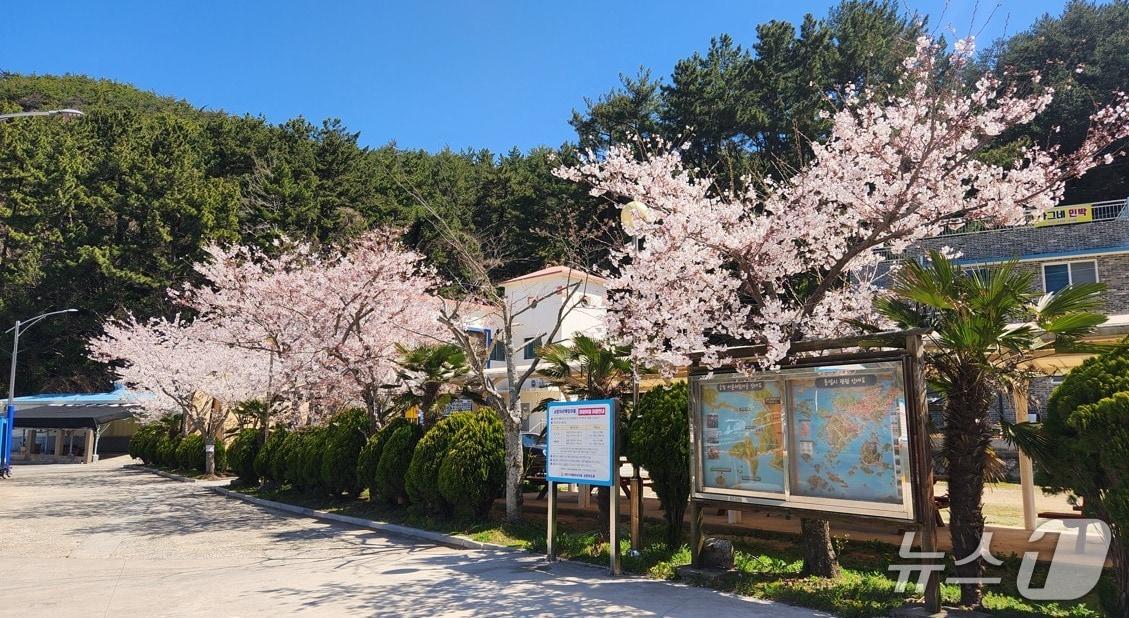 본문 이미지 - 경남 통영 궁항마을(한국어촌어항공단 제공)