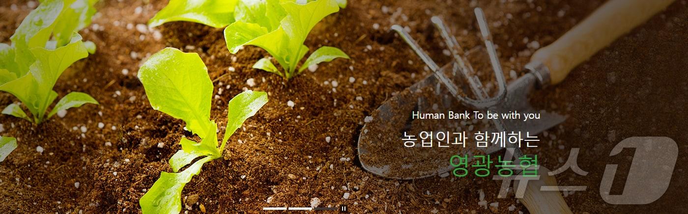 본문 이미지 - 영광농협 홈페이지 캡쳐. ⓒ 뉴스1