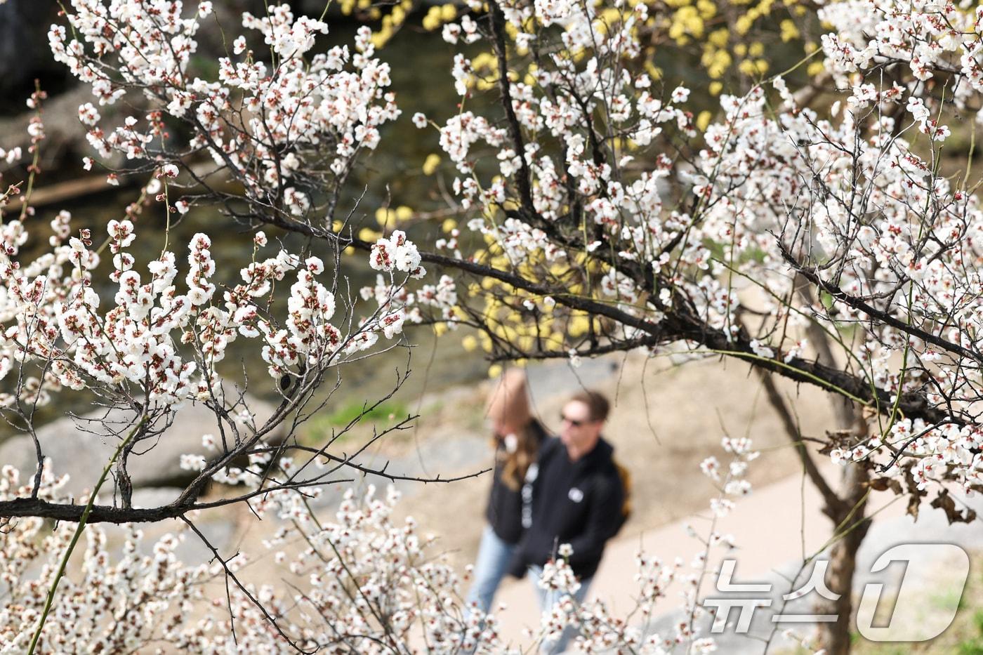 본문 이미지 - 〈자료사진〉