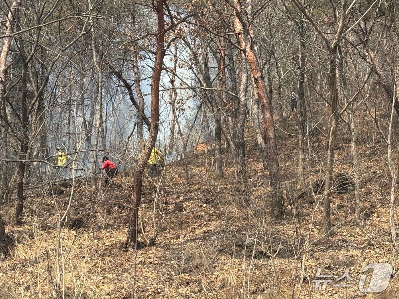 본문 이미지 - 단양군 영춘면의 한 야산에서 발생한 산불.(단양소방서 제공. 재판매 및 DB금지)  