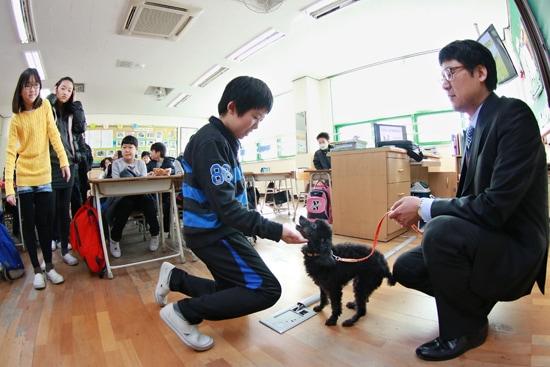 본문 이미지 - 대한수의사회에서 지난 2011년부터 2020년까지 진행했던 초등학교 동물보호교육 현장(대한수의사회 제공) ⓒ 뉴스1