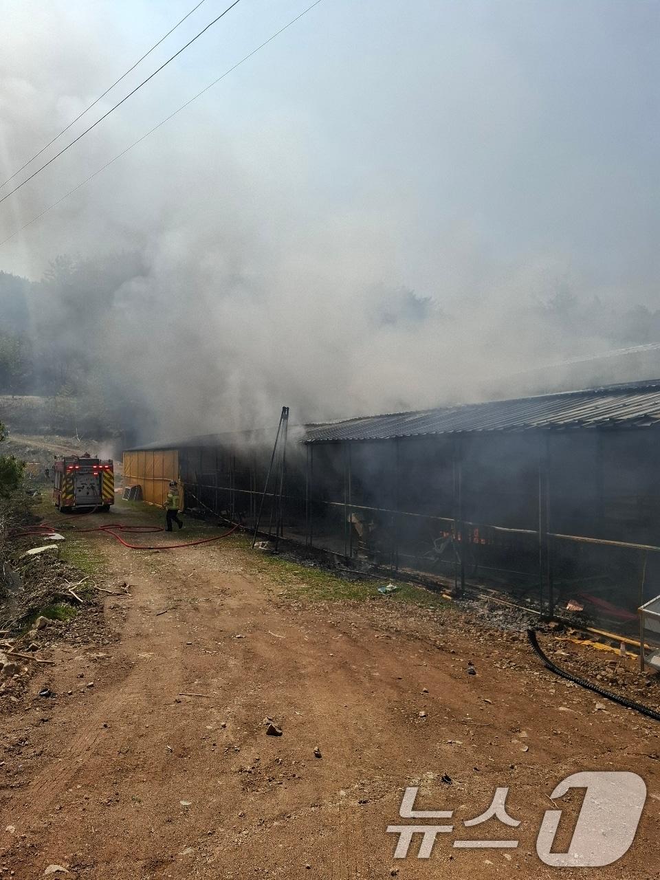 본문 이미지 - 26일 오전 11시 38분쯤 전남 화순군 이양면의 한 염소 축사에서 불이 나 연기가 피어오르고 있다. (전남소방본부 제공. 재판매 및 DB금지) 2026.3.26 ⓒ 뉴스1 