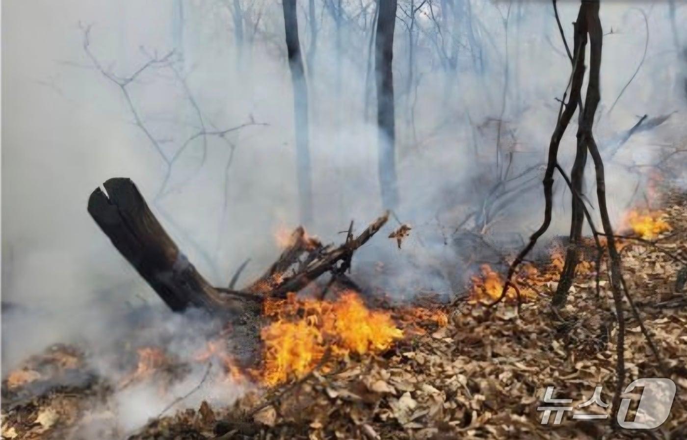 본문 이미지 - 화재 현장. (경기도소방재난본부 제공. 재판매 및 DB 금지) 2026.3.26/뉴스1
